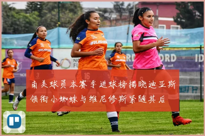 南美球员本赛季进球榜揭晓迪亚斯领衔小蜘蛛与维尼修斯紧随其后