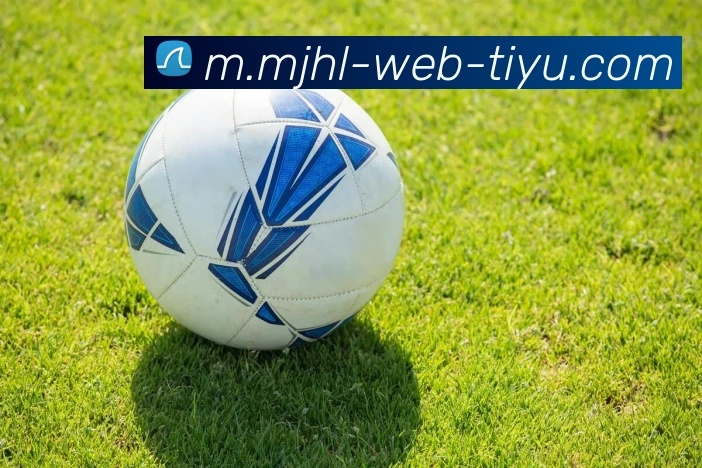 麻将胡了服务体系