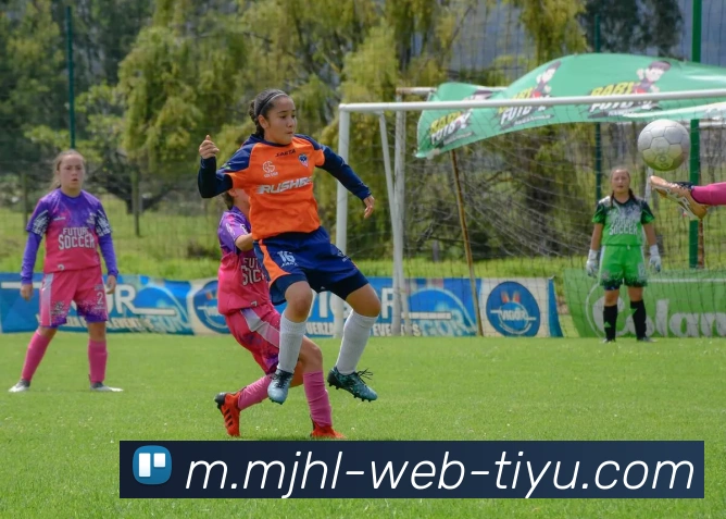 多媒体互动体验